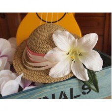 Little Straw Hat 